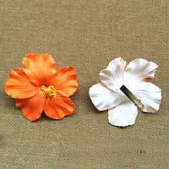 Flor de maga 🌺