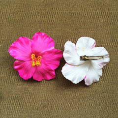Flor de maga 🌺